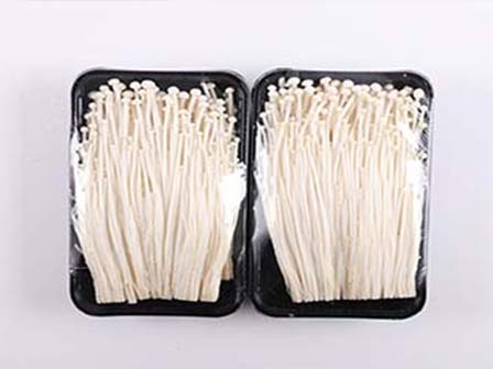 Unleashing the Power of CPP Mushroom Film for Breathable Packaging