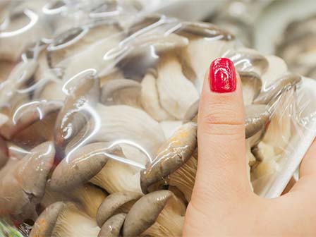 Global CPP Packaging Films Market Prospects and Mushroom Breathable Film as Rising Player