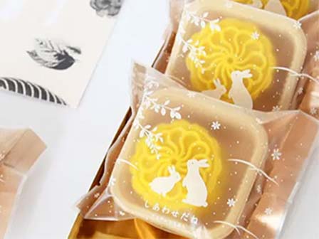 Elevating Packaging Aesthetics with BOPP Matt Film
